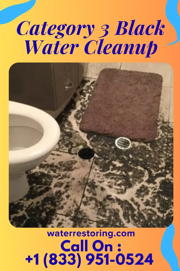 Category 3 Black Water Cleanup in Middletown, DE
